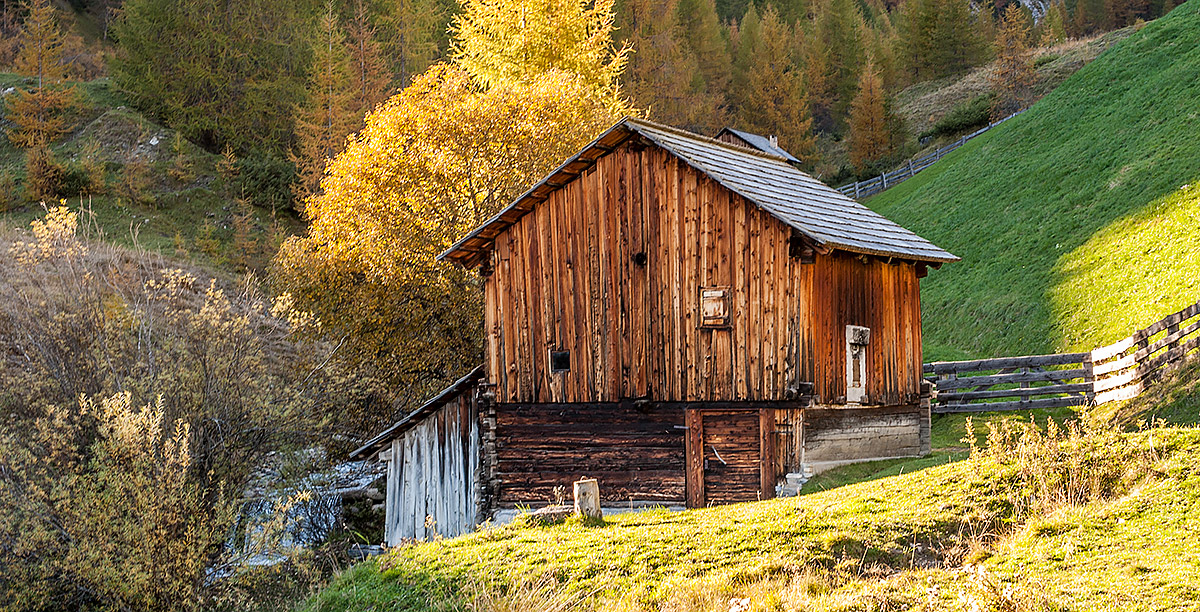 Log cabin surrounded by meadows and trees