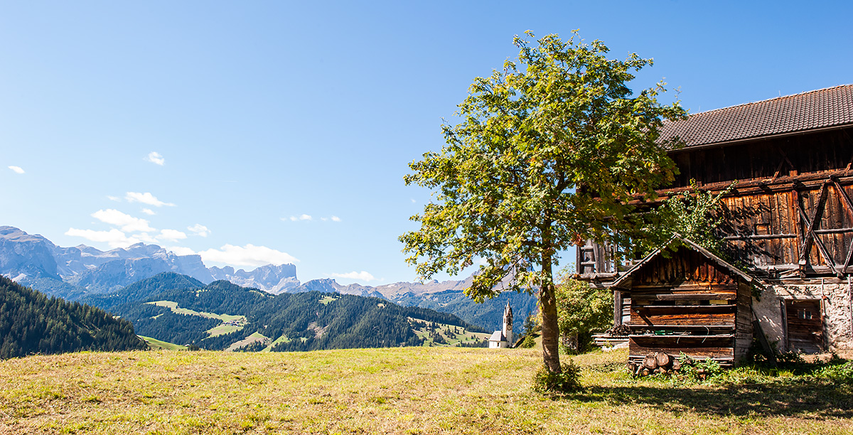 Holzhaus auf einer Wiese mit Blick auf Berge und Wiesen der Val Badia