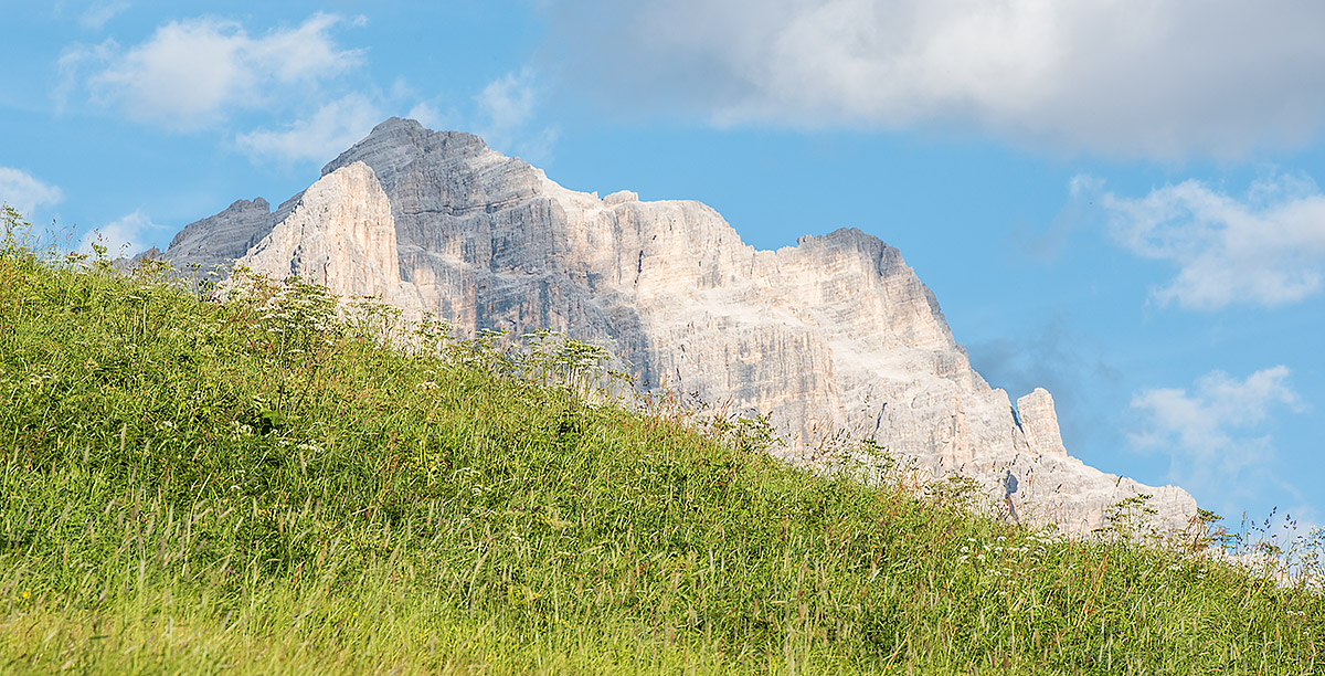 Un prato con erba alta e montagne di roccia sullo sfondo