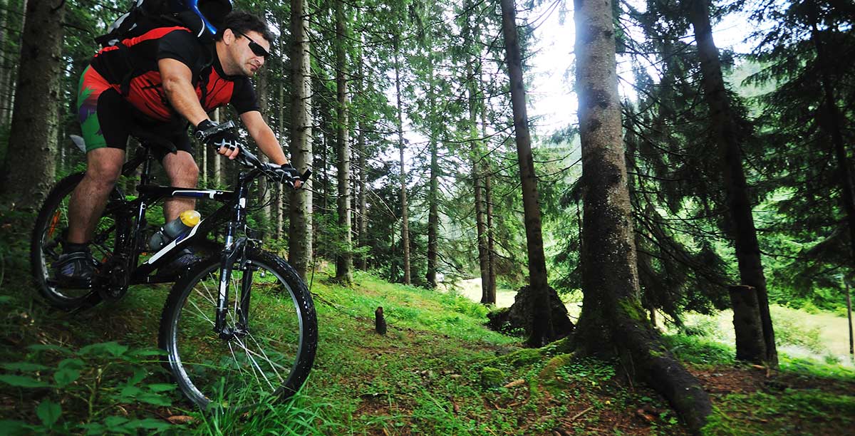 Mann beim Downhill fahren mit einem Mountainbike mitten im Wald